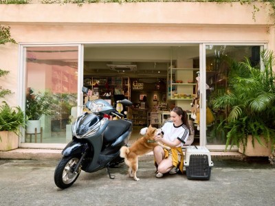 LEAD 125cc